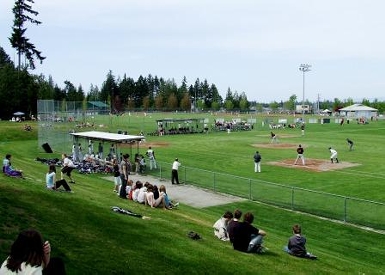 Springwood Park - Baseball Tournament
