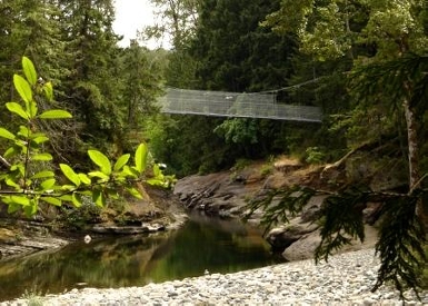 Top Bridge